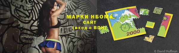 дживик Вязьма