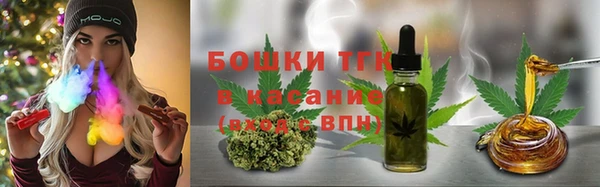 дживик Вязьма
