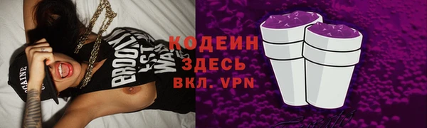 хмурый Вяземский