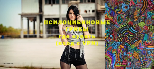 хмурый Вяземский