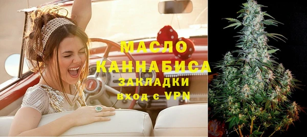 хмурый Вяземский