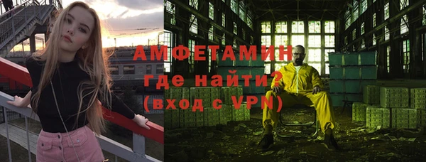 дживик Вязьма